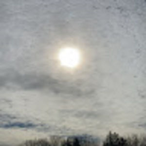 Meet your Posher, Molly